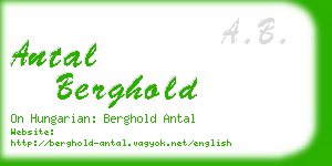 antal berghold business card